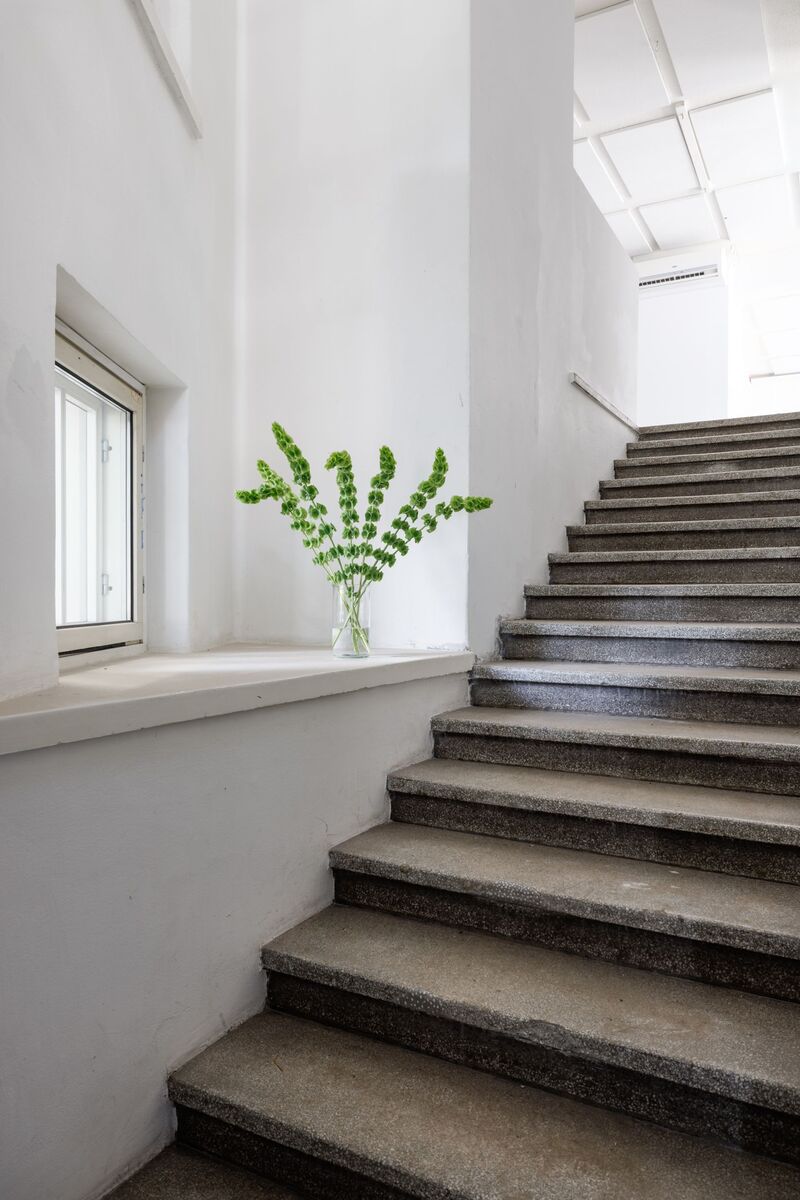 Kuva toimitilasta osoitteessa Pursimiehenkatu 29-31, Helsinki (Punavuori)