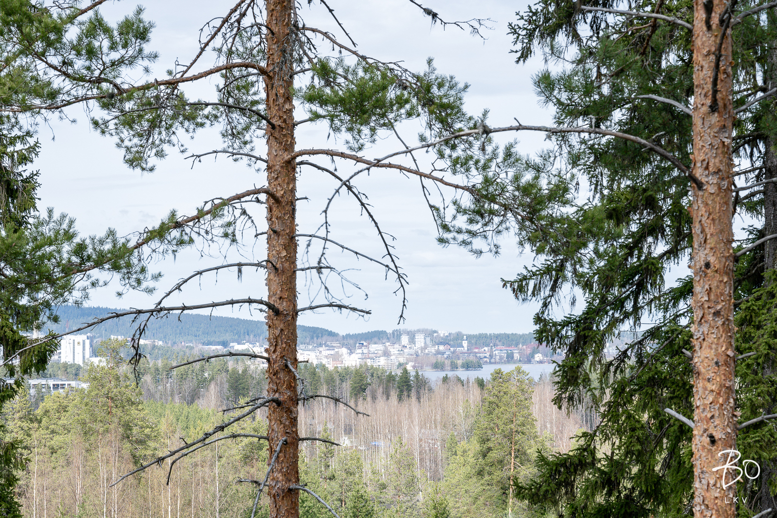 Kivirinne 5 - bild 16