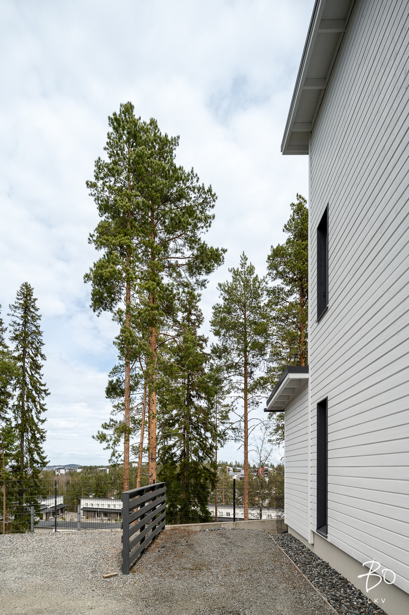 Kivirinne 5 - bild 33