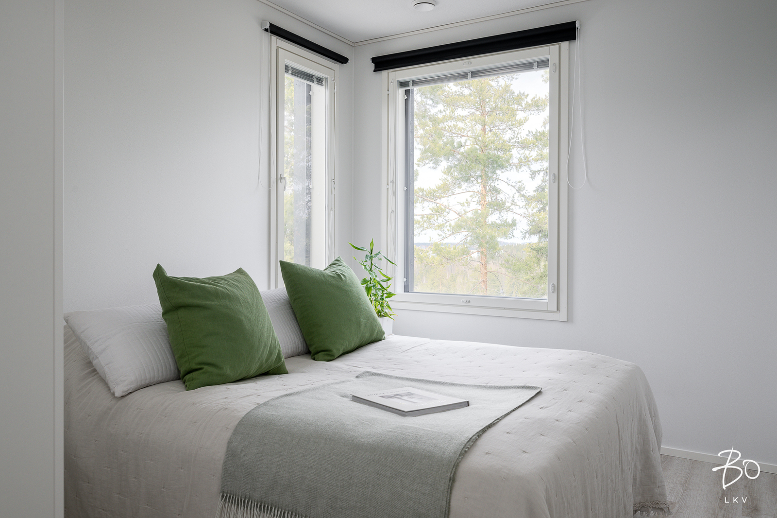 Kivirinne 5 - bild 24