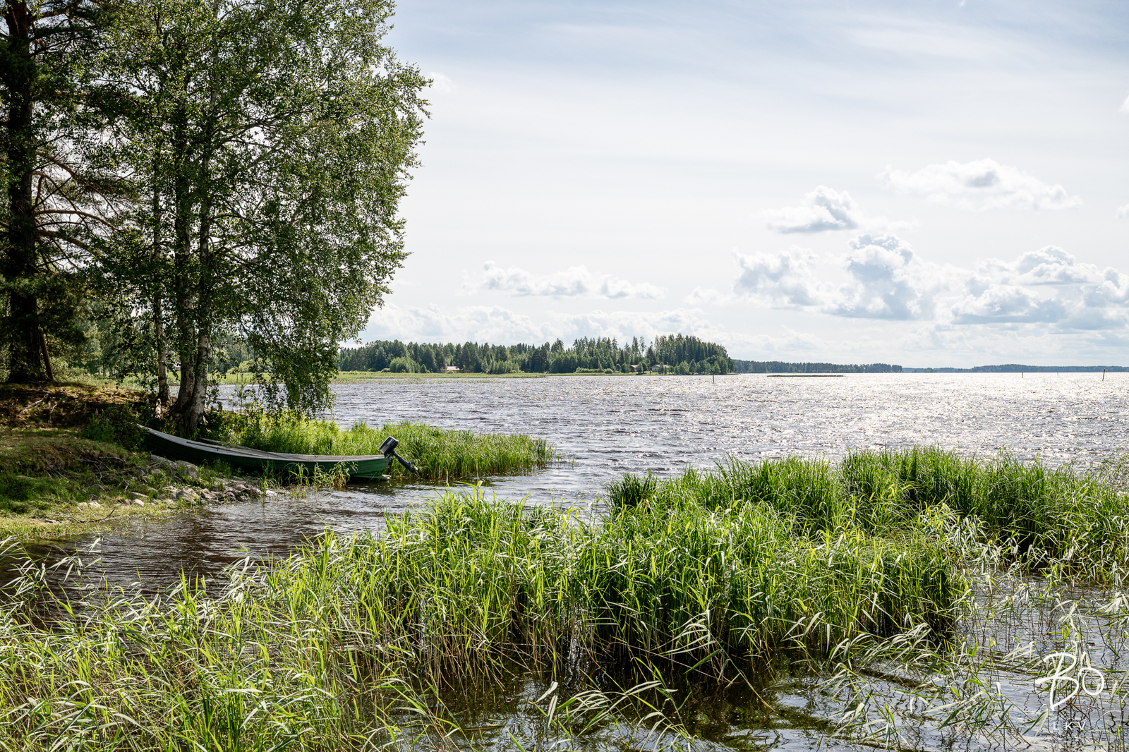 Tavinsalmentie 471 - kuva 58