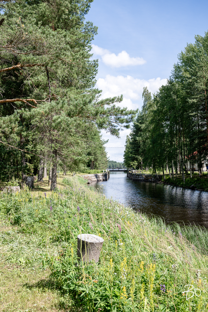 Tavinsalmentie 471 - kuva 64