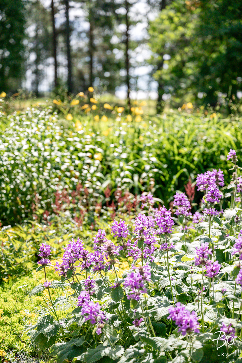 Tavinsalmentie 471 - kuva 73