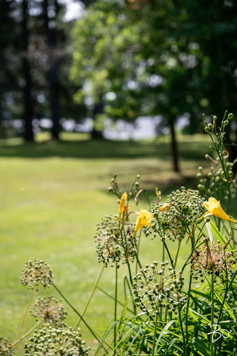 Tavinsalmentie 471 - kuva 74