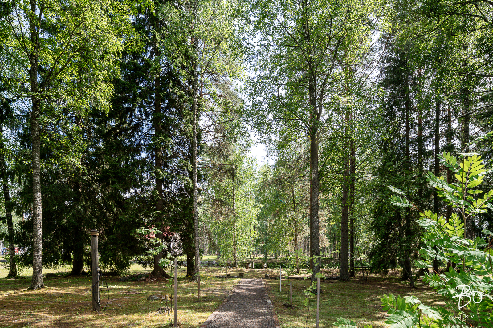 Tavinsalmentie 471 - kuva 85