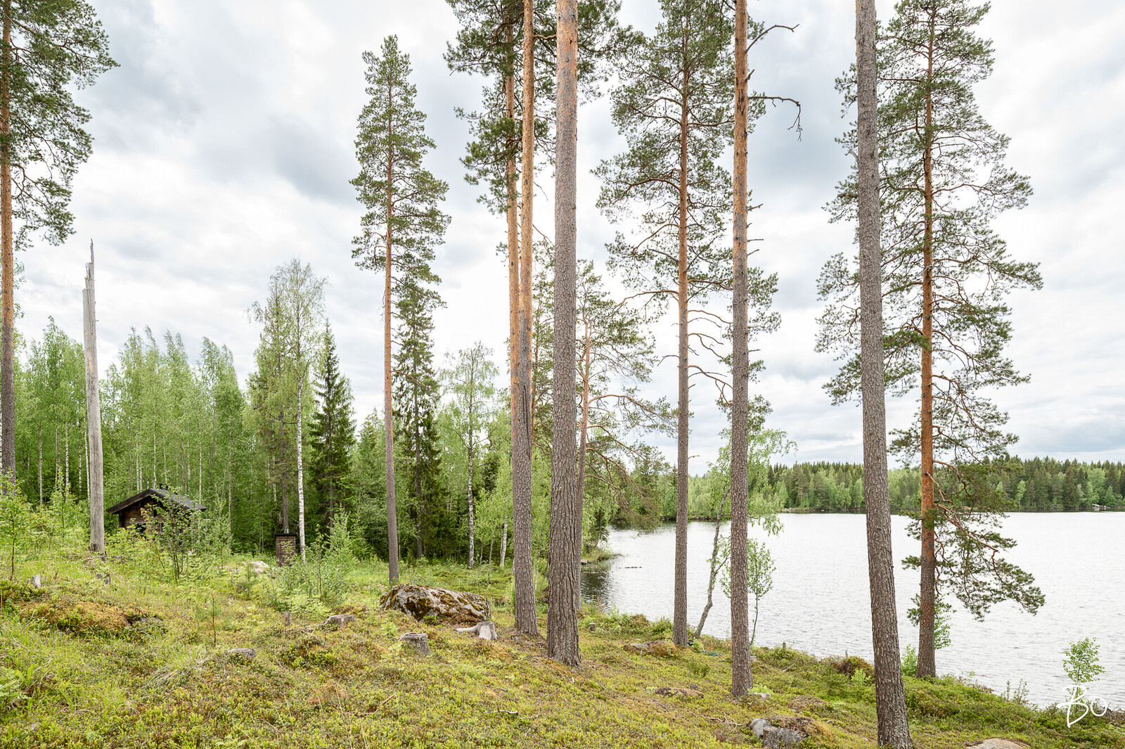 Hirvonjärventie 79 - kuva 23