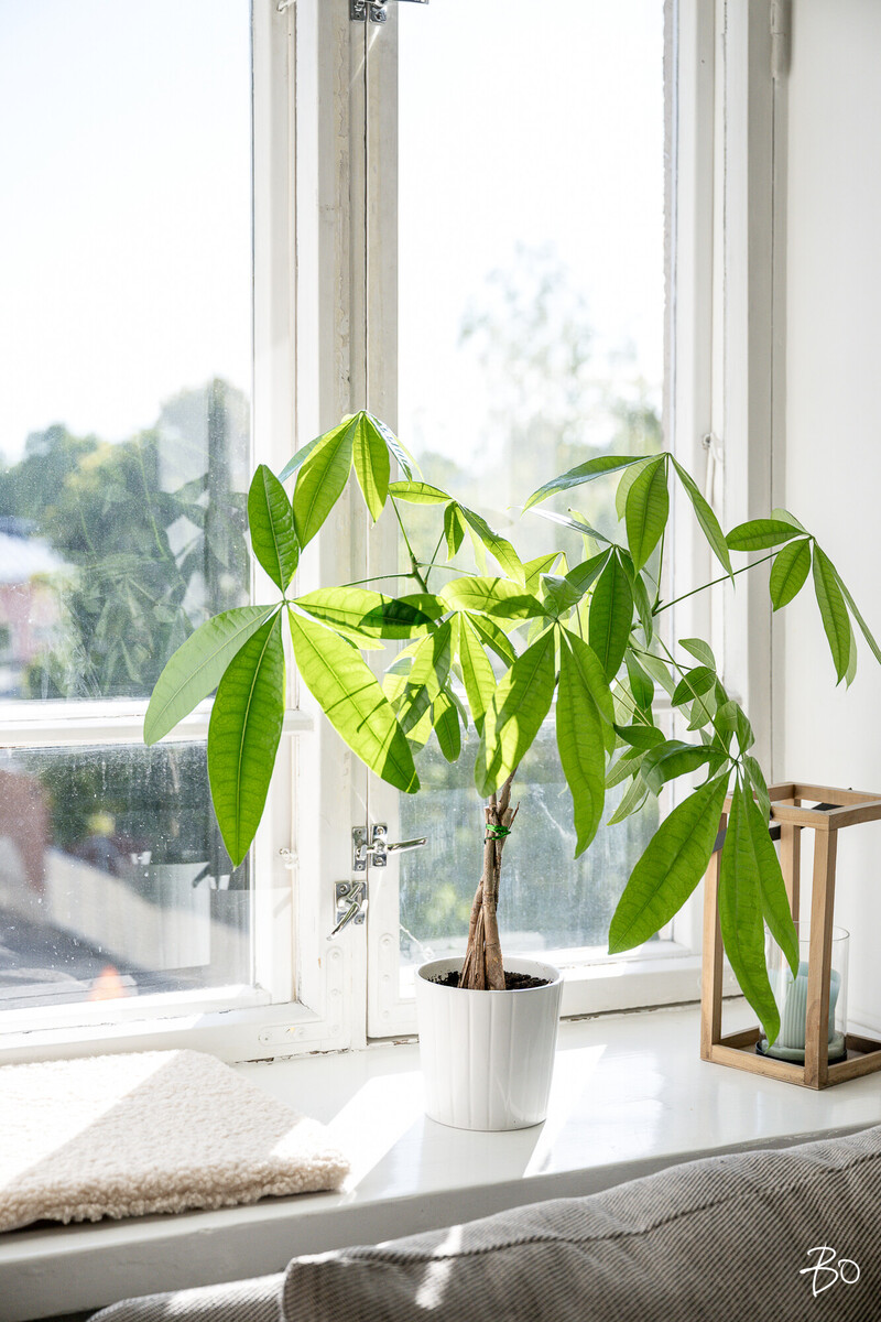 Kauppakatu 13 - kuva 23