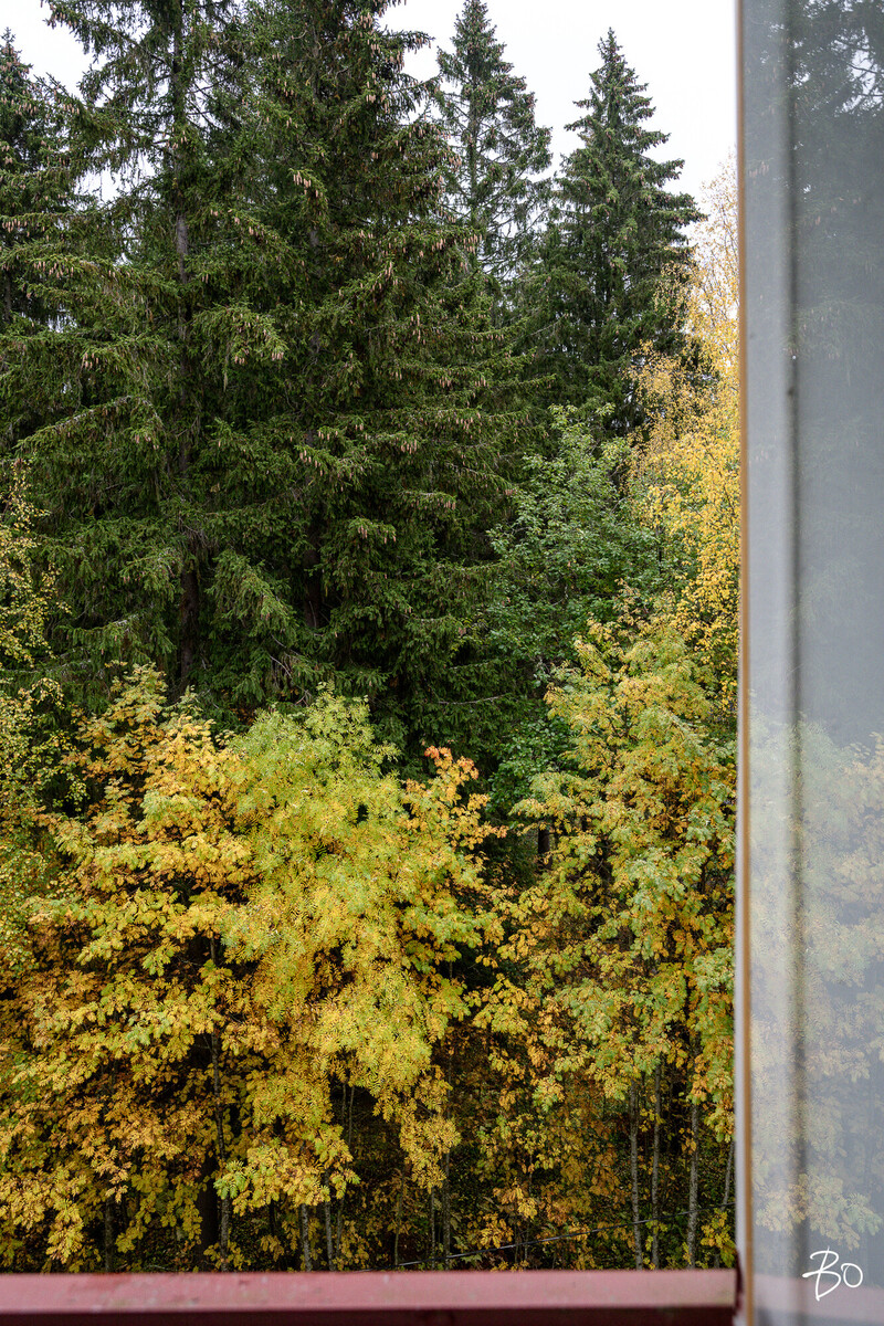 Ahkiotie 4 - bild 14