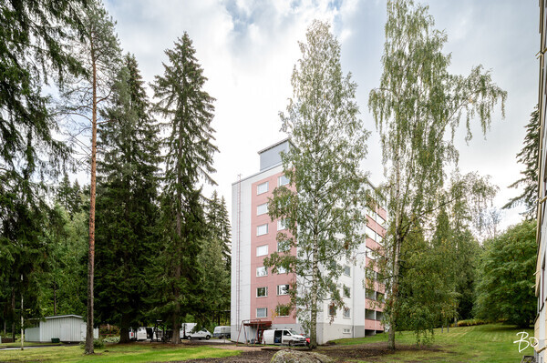 Ahkiotie 4 - image 23