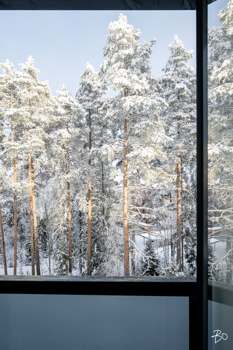 Kivirinne 5 - kuva 23