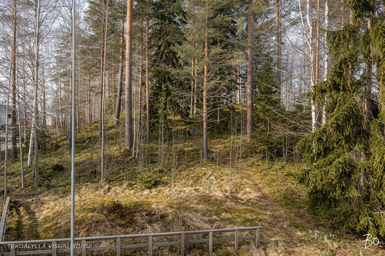 Piekanankuja 3 - bild 22