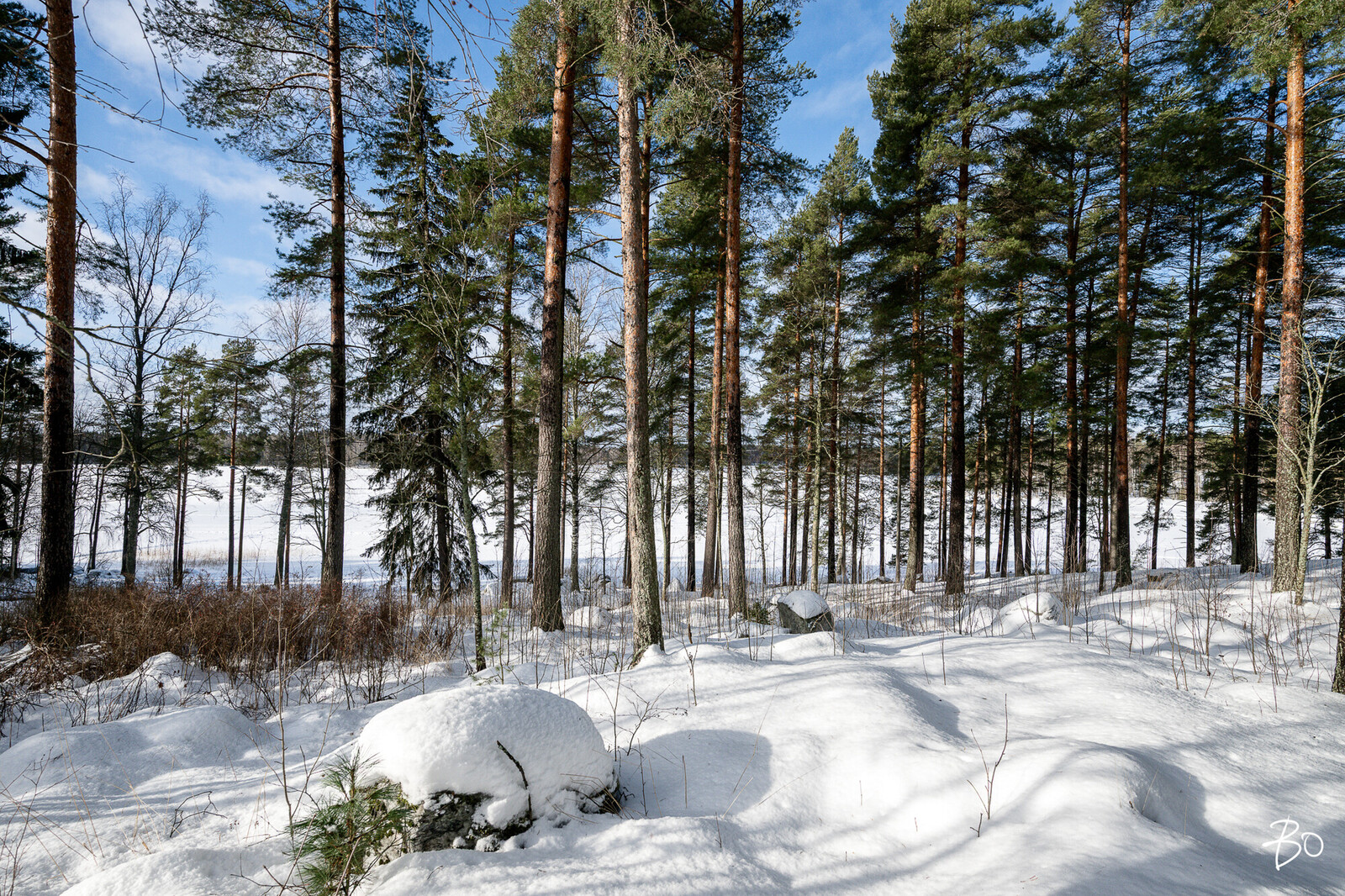 Hirvenpolku 15 - image 34