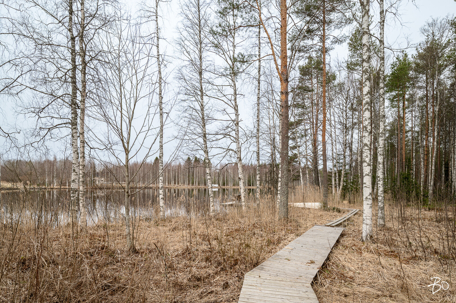 Palomäentie 42 - kuva 47