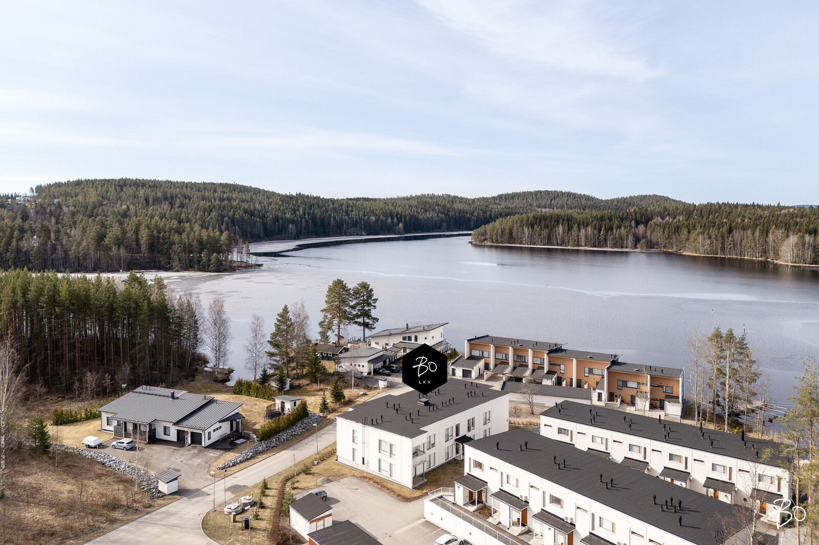 Lintuluoto 2 - kuva 31