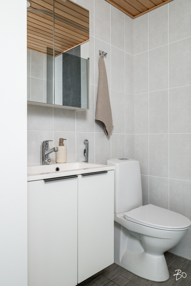 Lintuluoto 2 - kuva 17