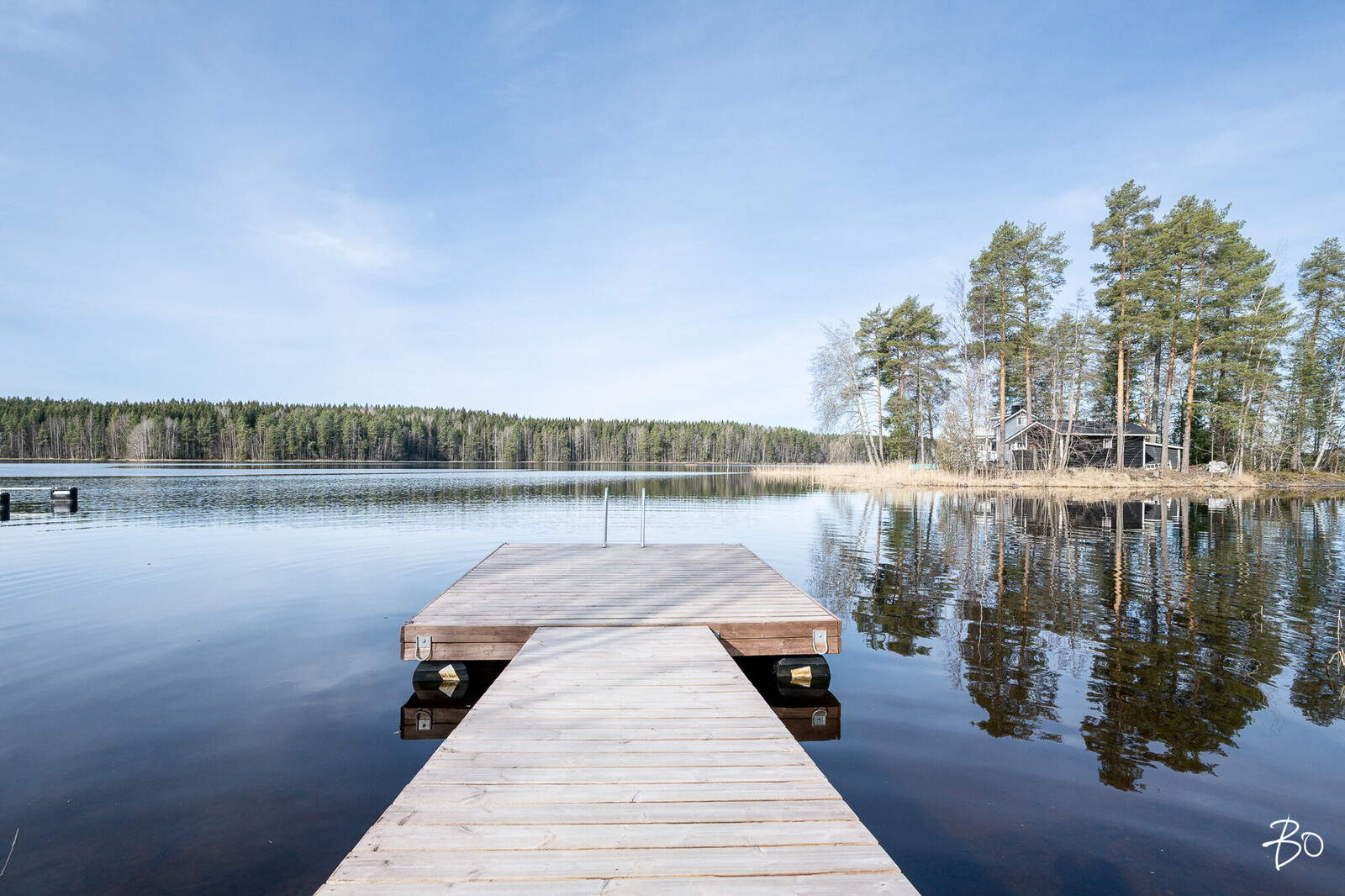 Lintuluoto 2 - kuva 28