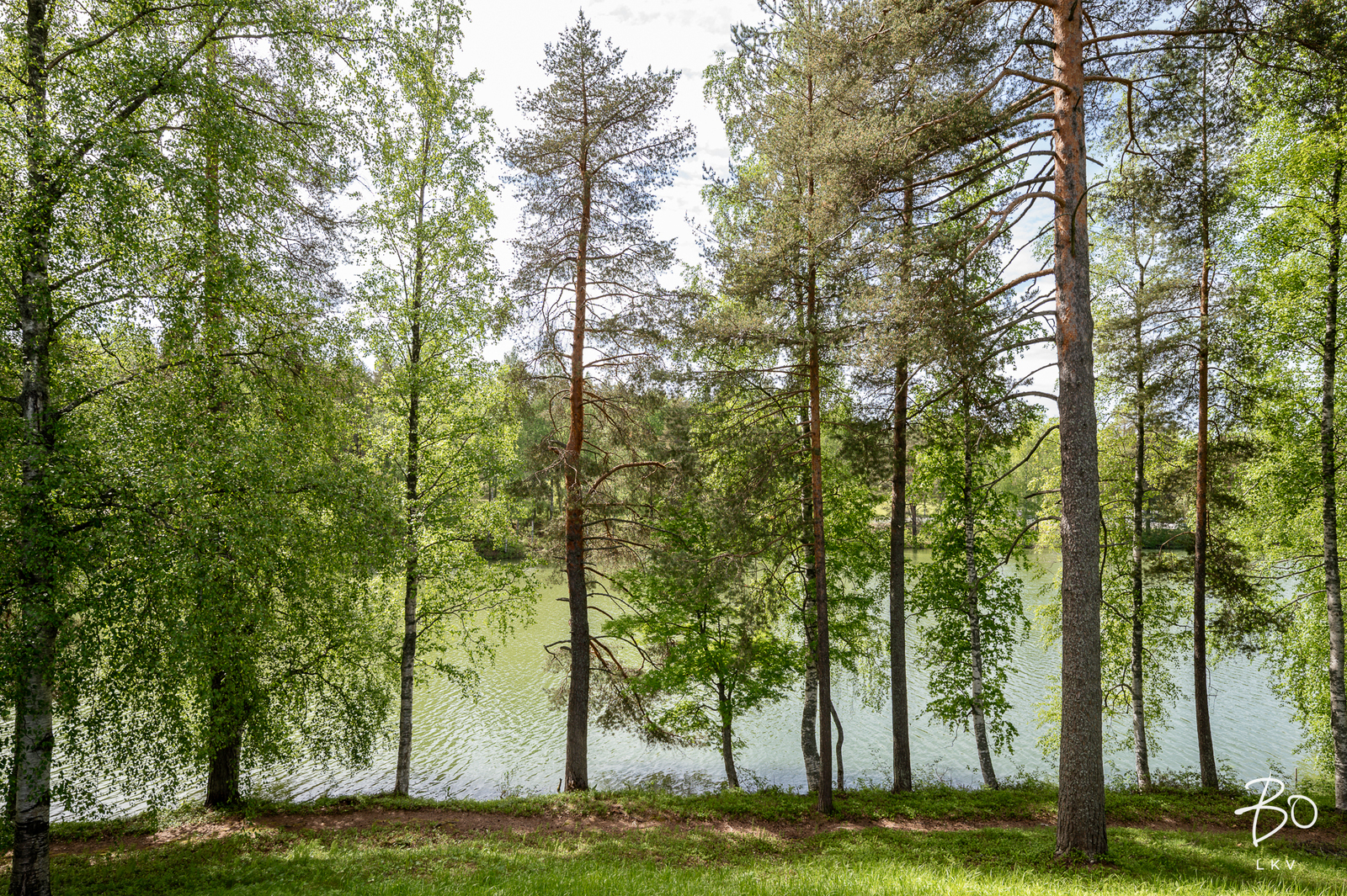 Koppelontie 14 - image 25