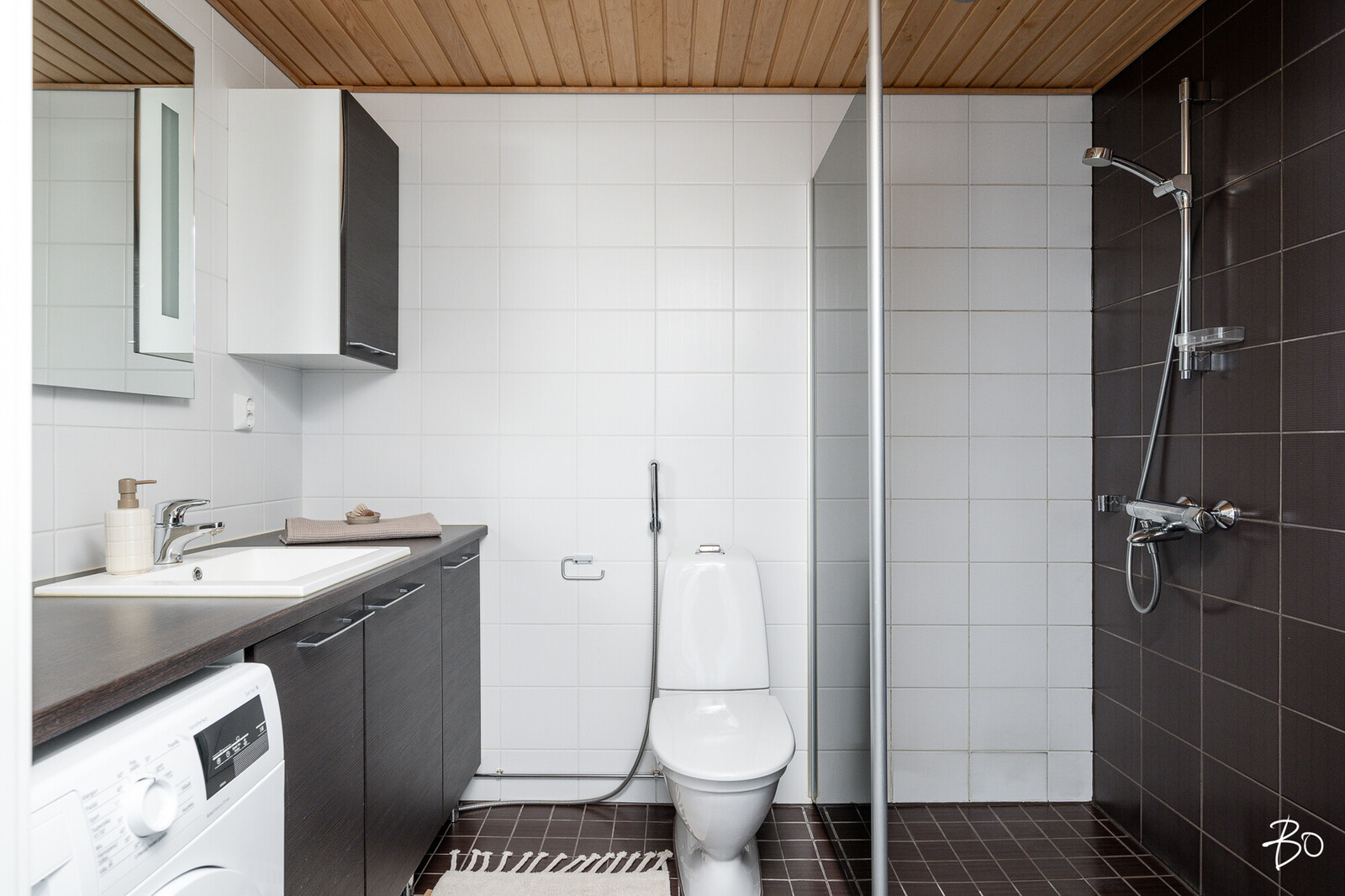 Lintuluoto 5 - kuva 21