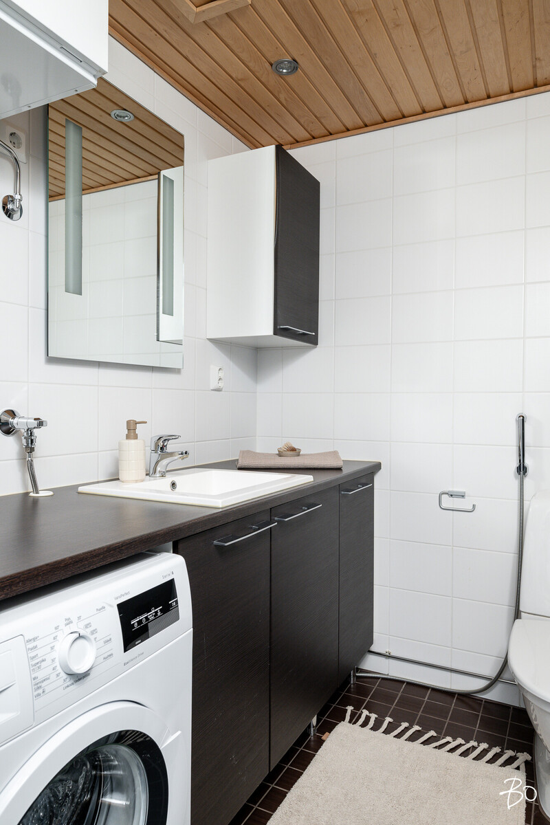 Lintuluoto 5 - kuva 22