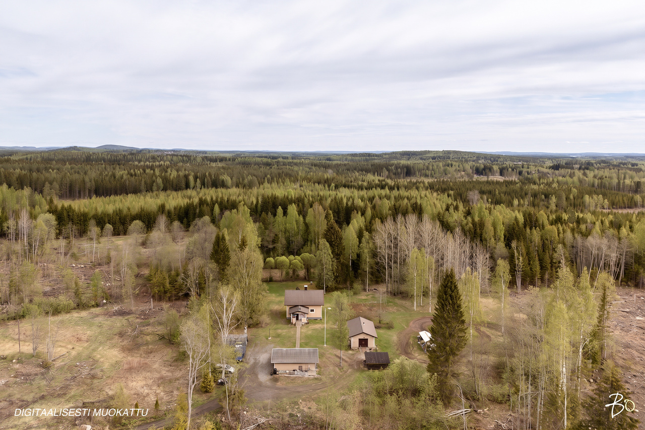 Heinäahontie 155 - kuva 27