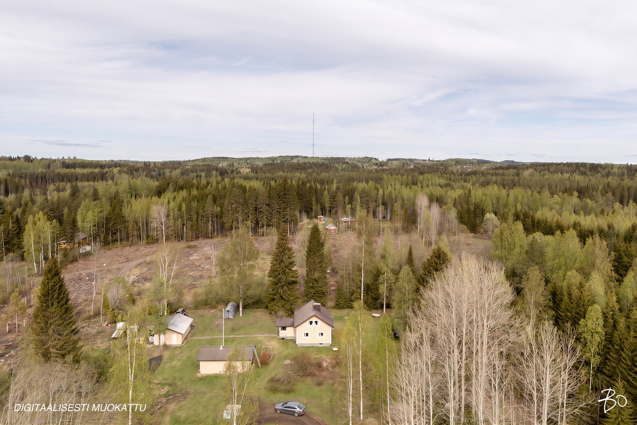 Heinäahontie 155 - kuva 28