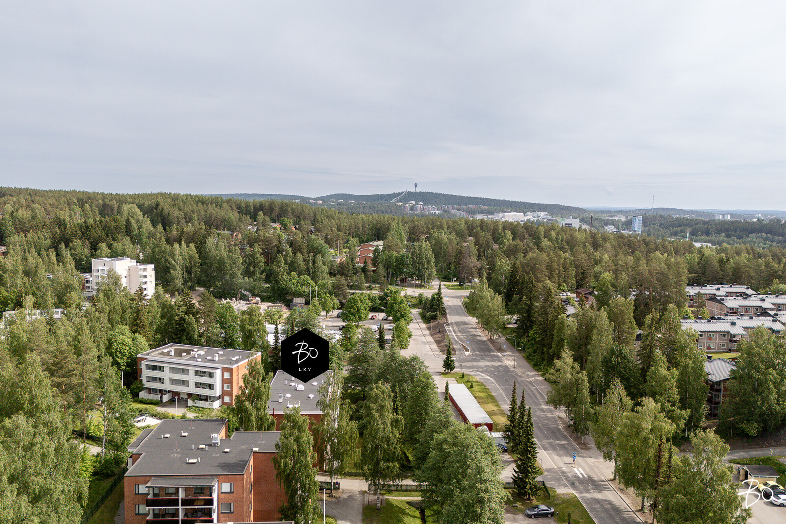 Vesurikuja 2 - kuva 25