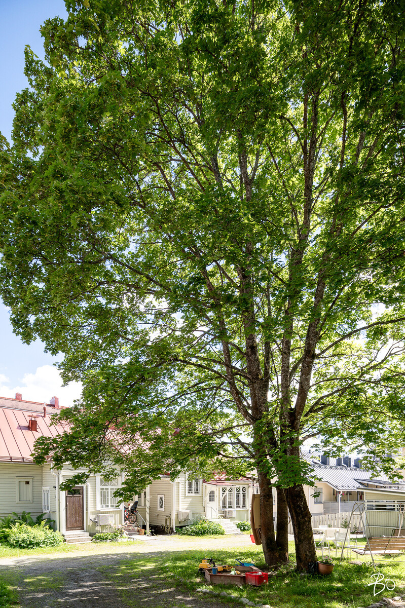 Vuorelankatu 6 - bild 27