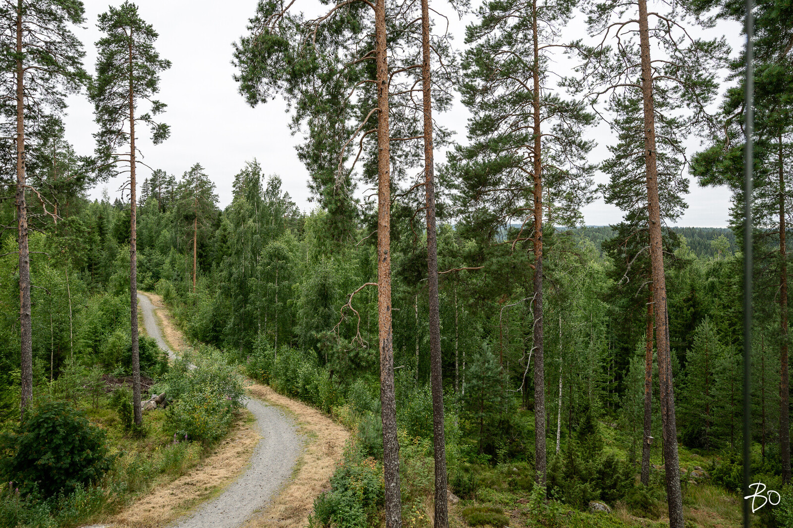 Kivirinne 9 - kuva 33