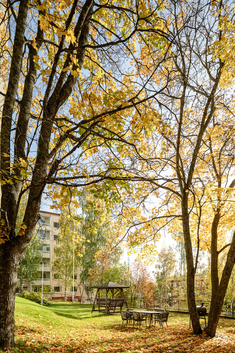 Lönnrotinkatu 3 - kuva 29