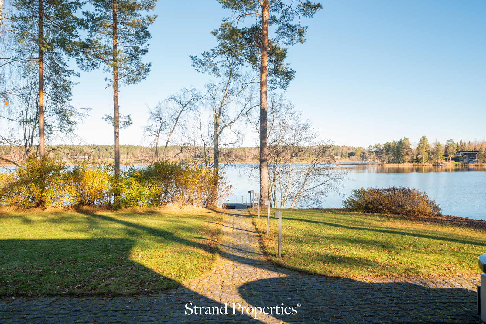 Image 62