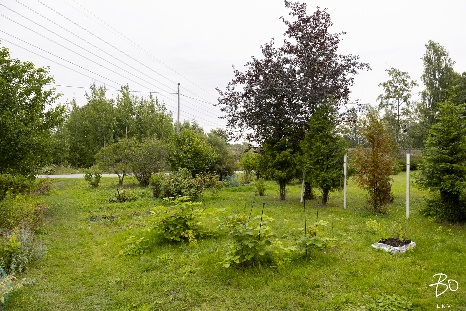 Koskustie 5 - image 22