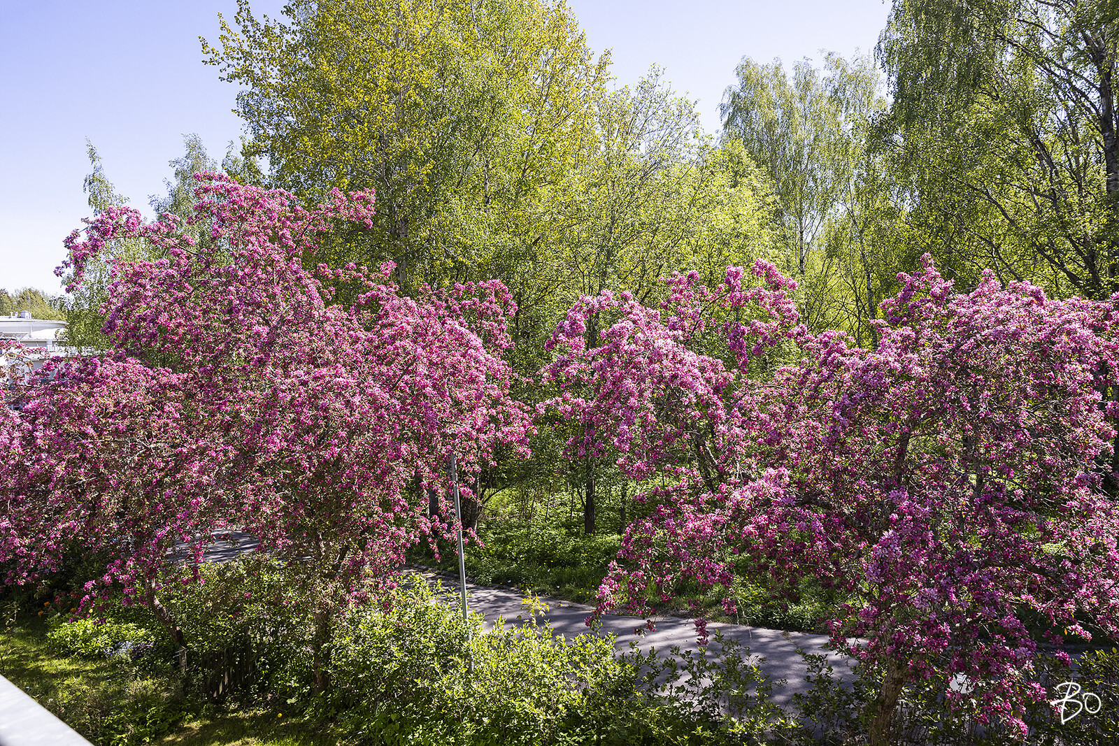 Taiteentekijäntie 8 - kuva 19