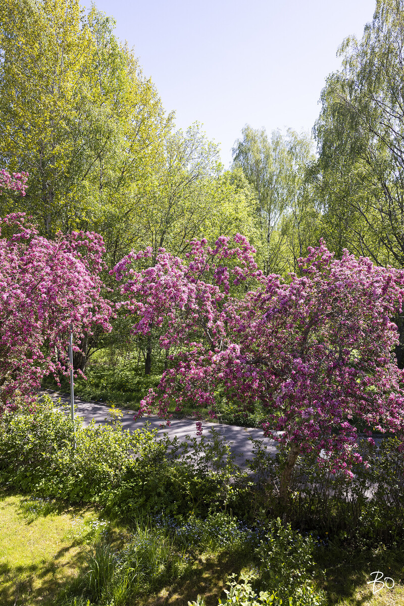 Taiteentekijäntie 8 - image 24