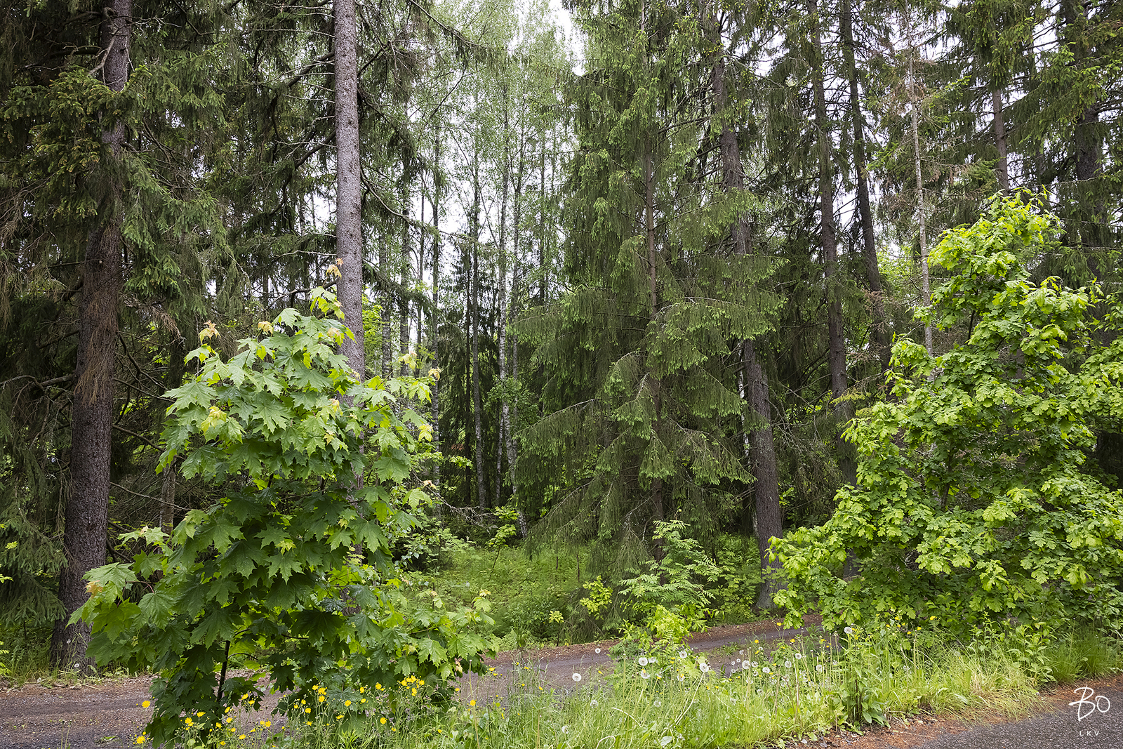 Rantatie 32 A - kuva 9