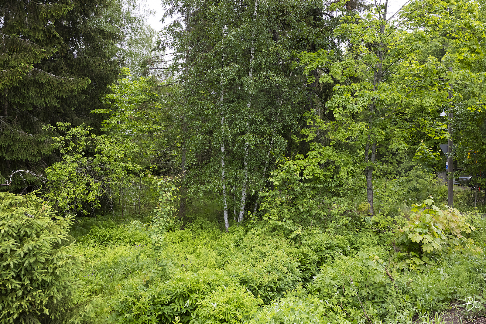 Rantatie 32 A - kuva 8