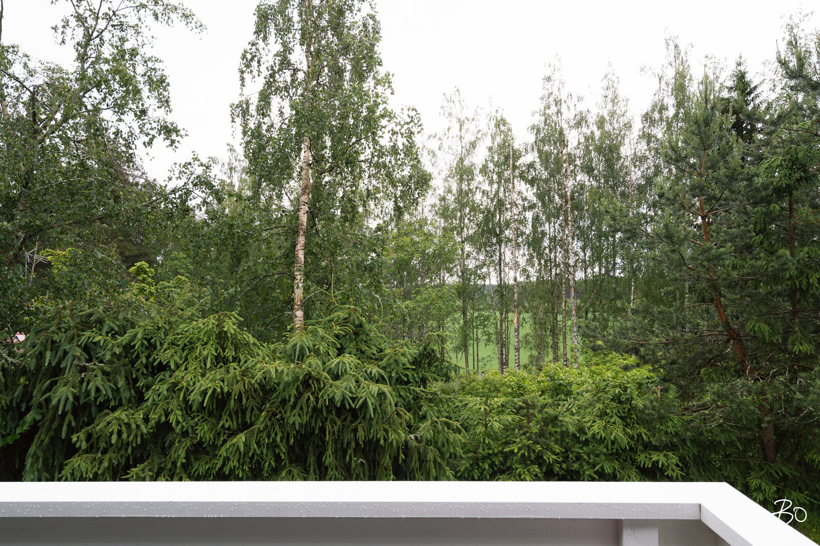 Nilsaksentie 46 - kuva 8