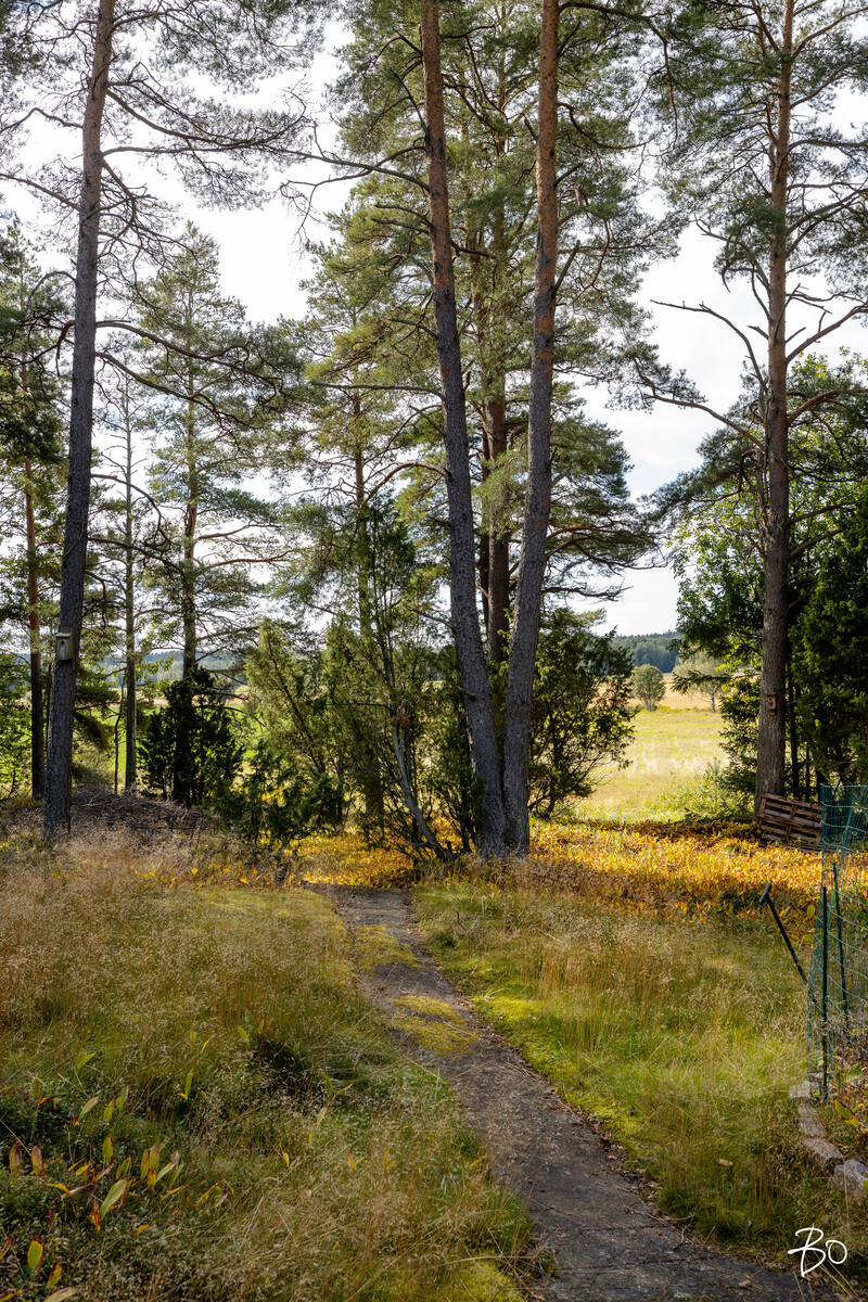 Eestinkyläntie 89 - kuva 35