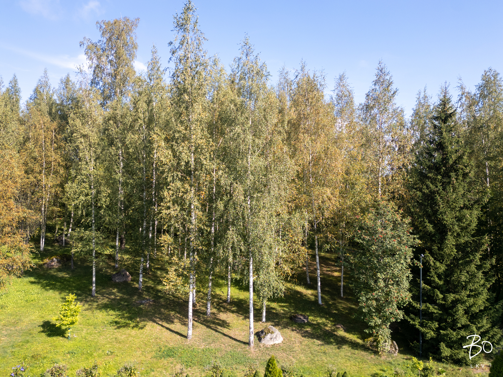 Raiskintie 53 b - bild 4