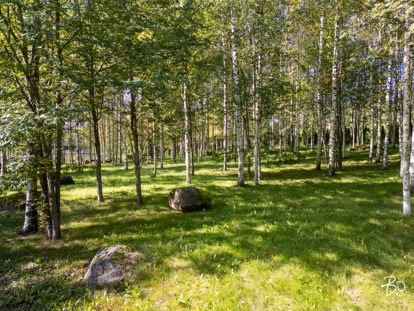 Raiskintie 53 b - bild 2