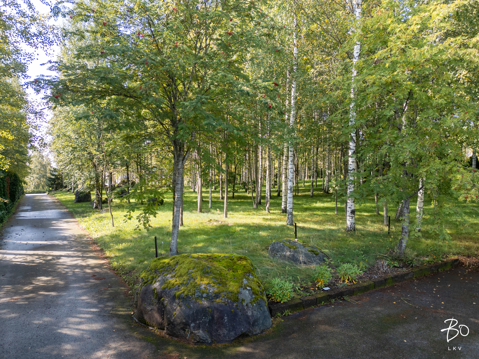 Raiskintie 53 b - bild 5