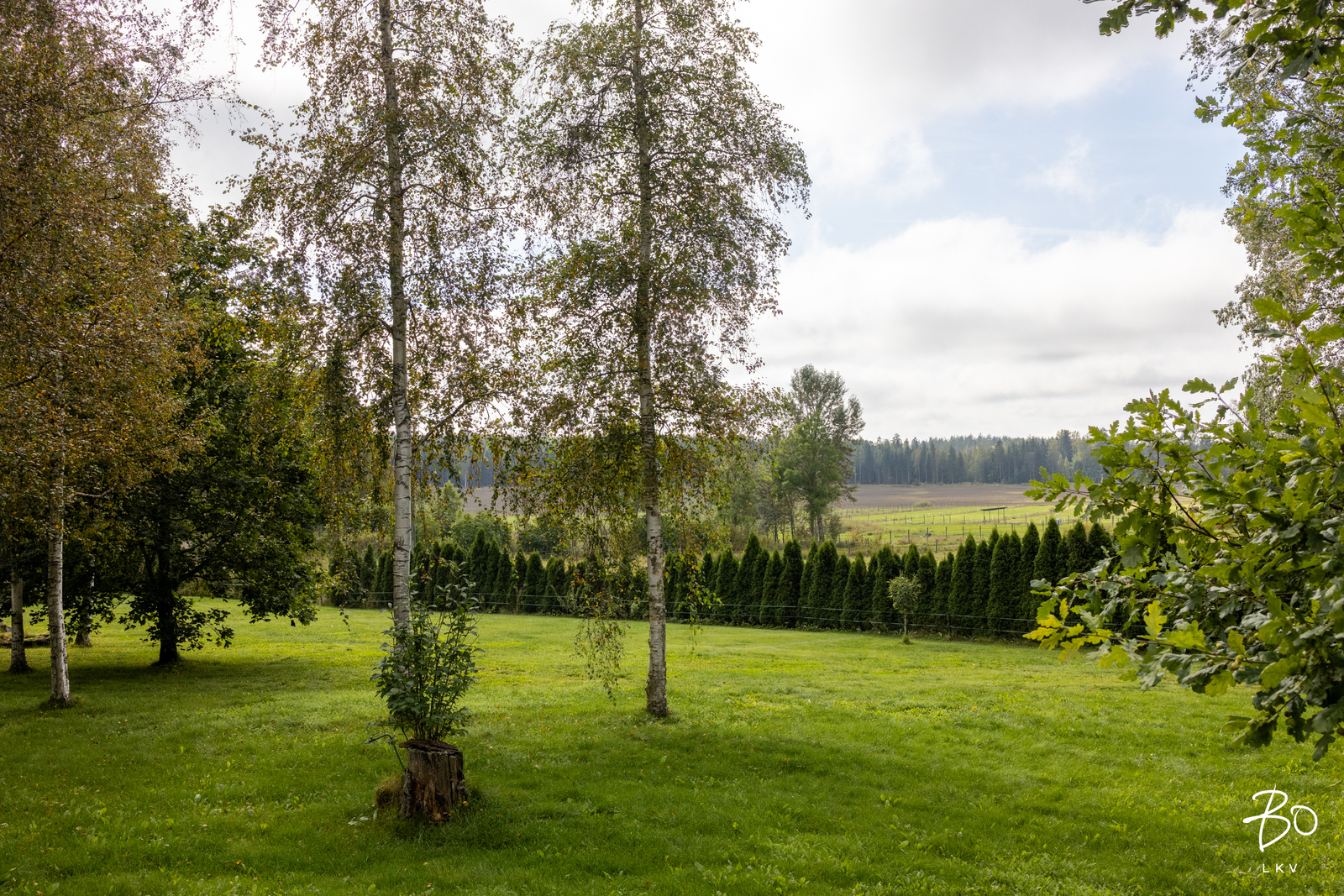 Raiskintie 53 - bild 11