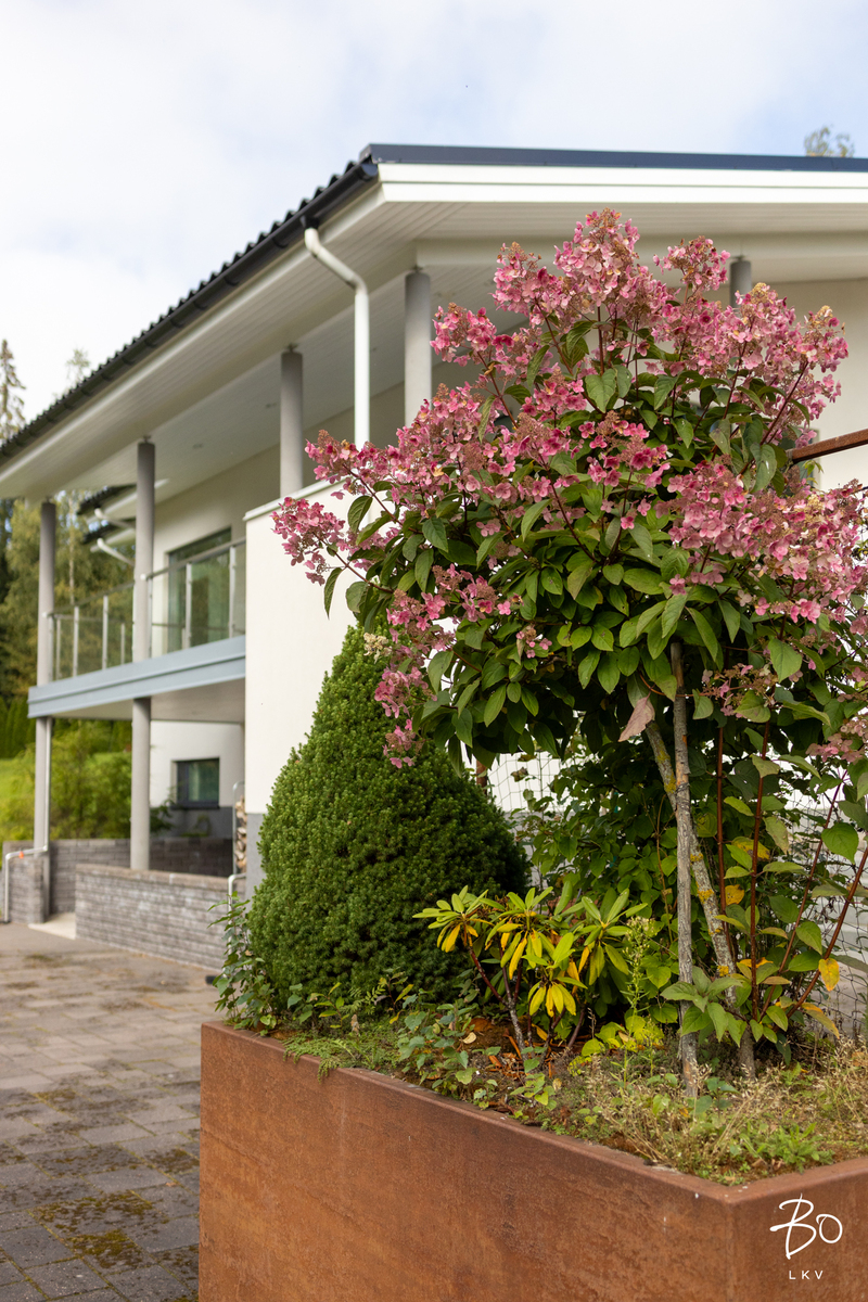 Raiskintie 53 - bild 13