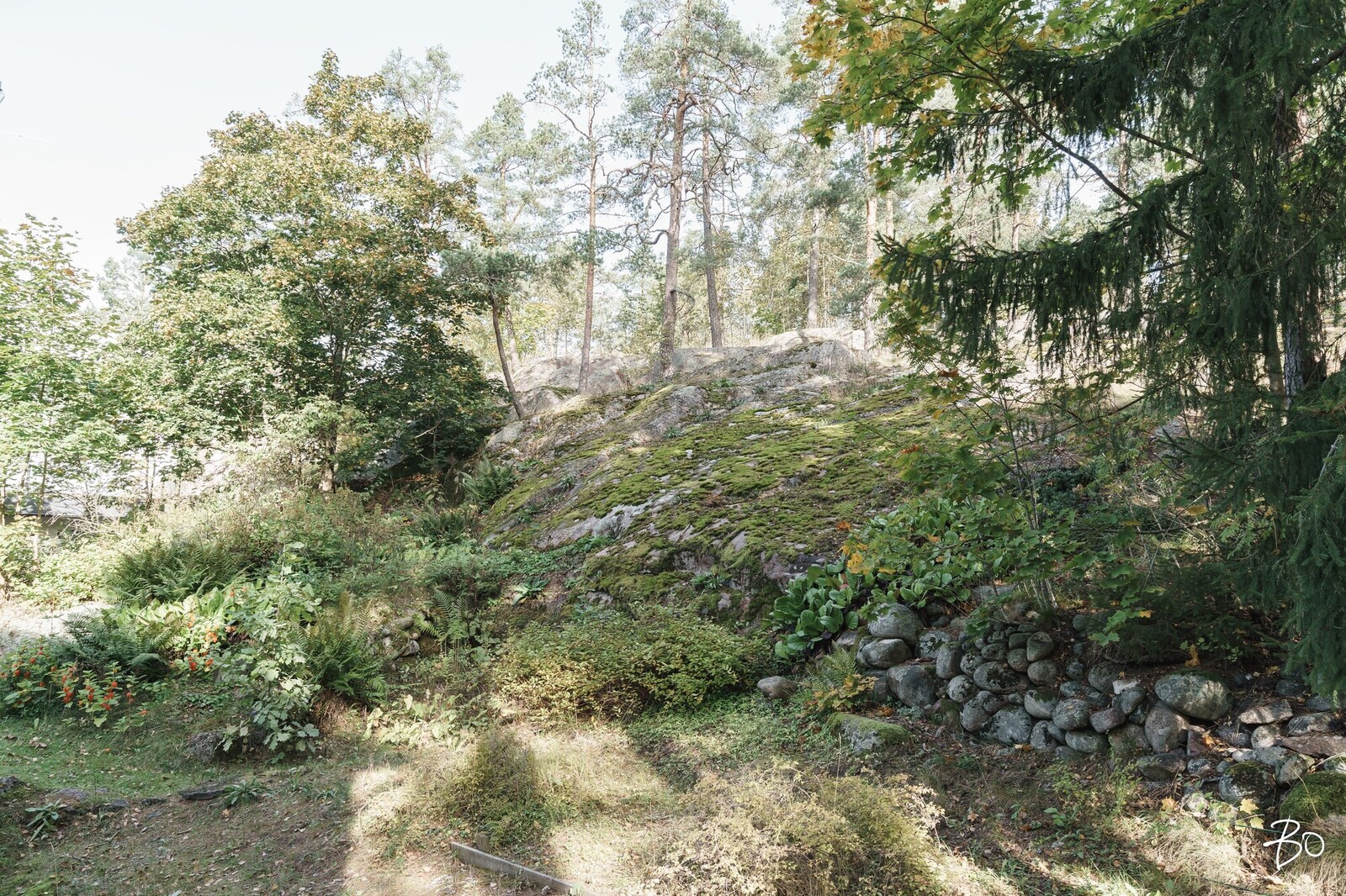 Koivistontie 11 - image 35