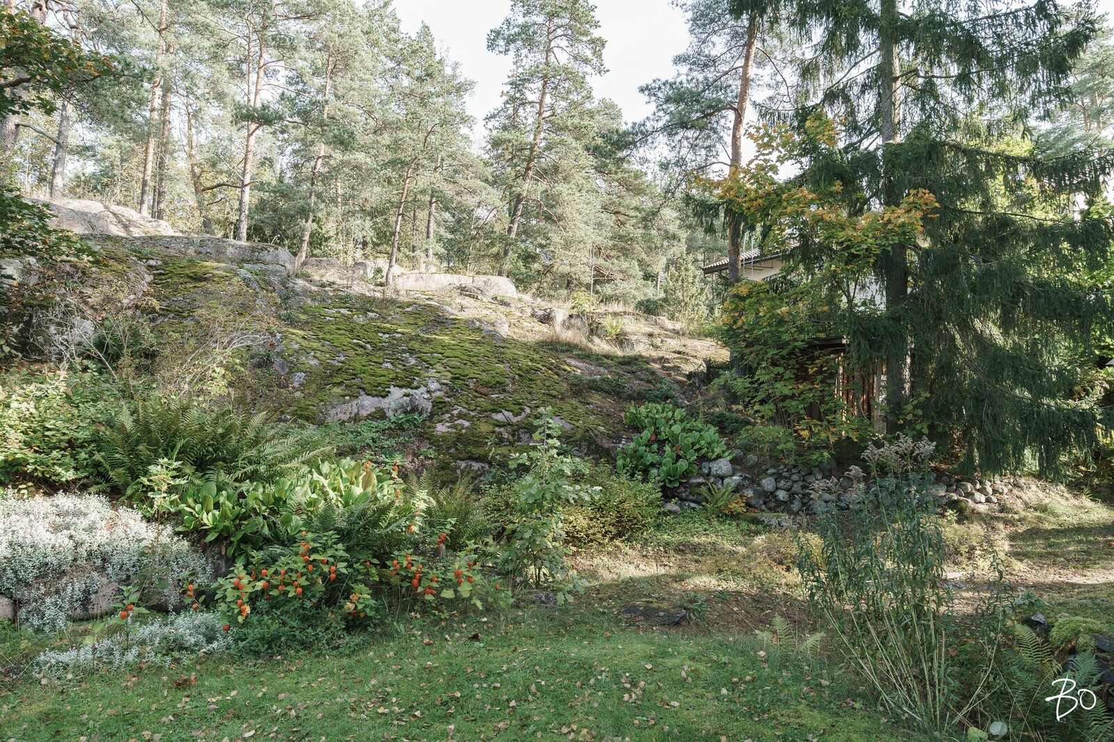 Koivistontie 11 - image 36