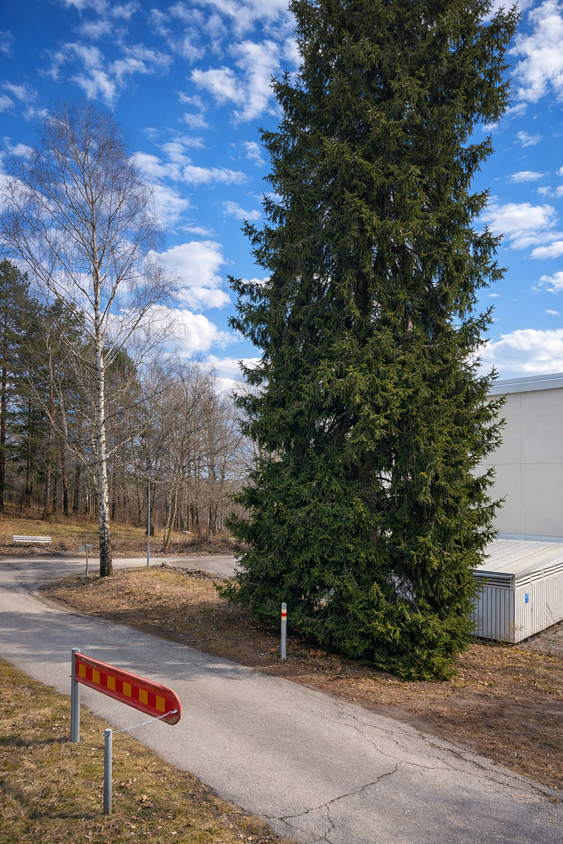 Maininkitie 9 - bild 15