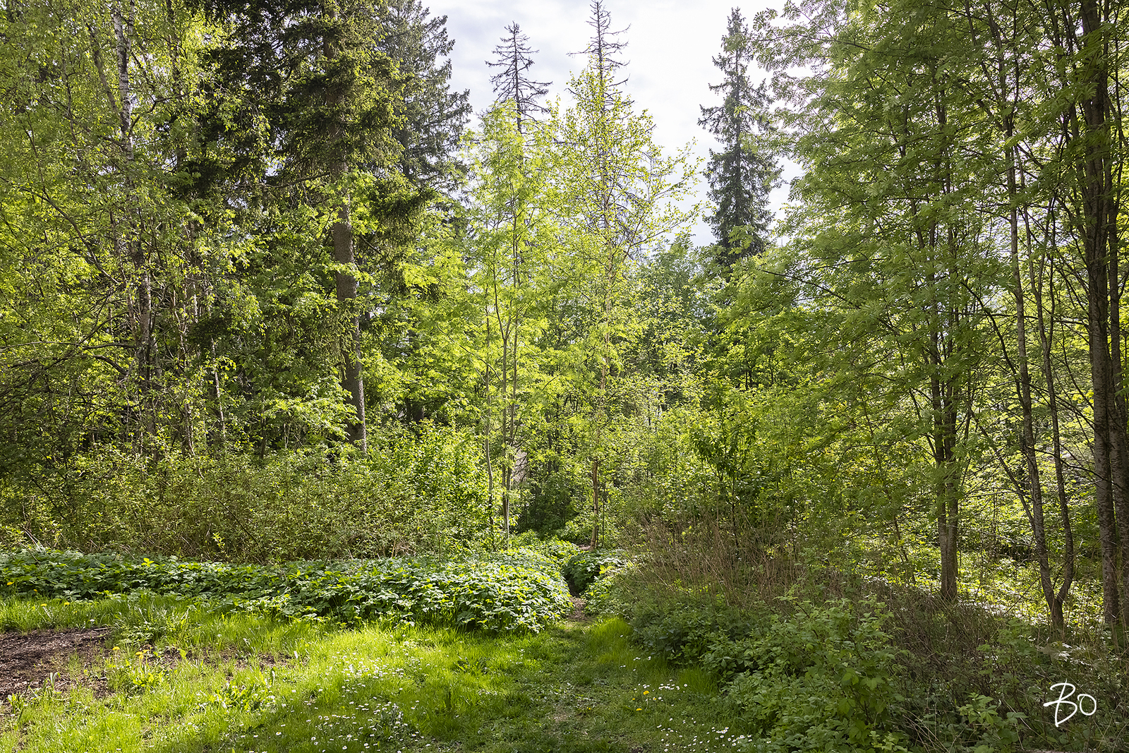 Jokipuistonkaari 10 A - kuva 33