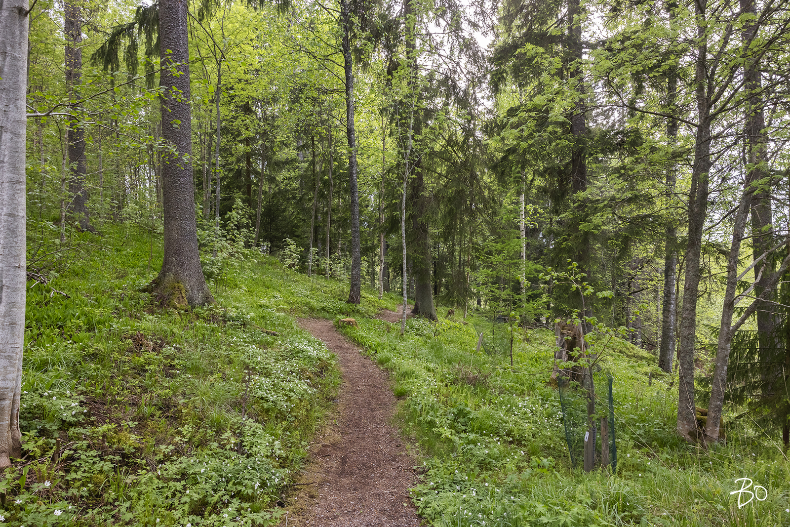 Jokipuistonkaari 10 A - kuva 34