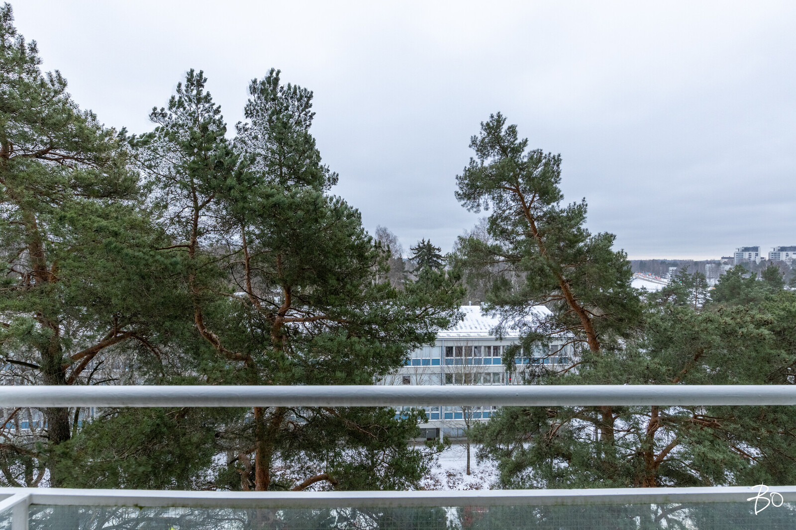 Mäntyviita 4 - kuva 13