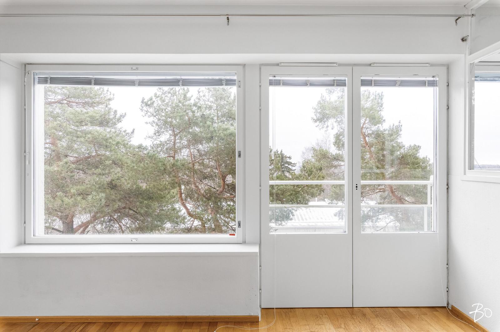 Mäntyviita 4 - kuva 1