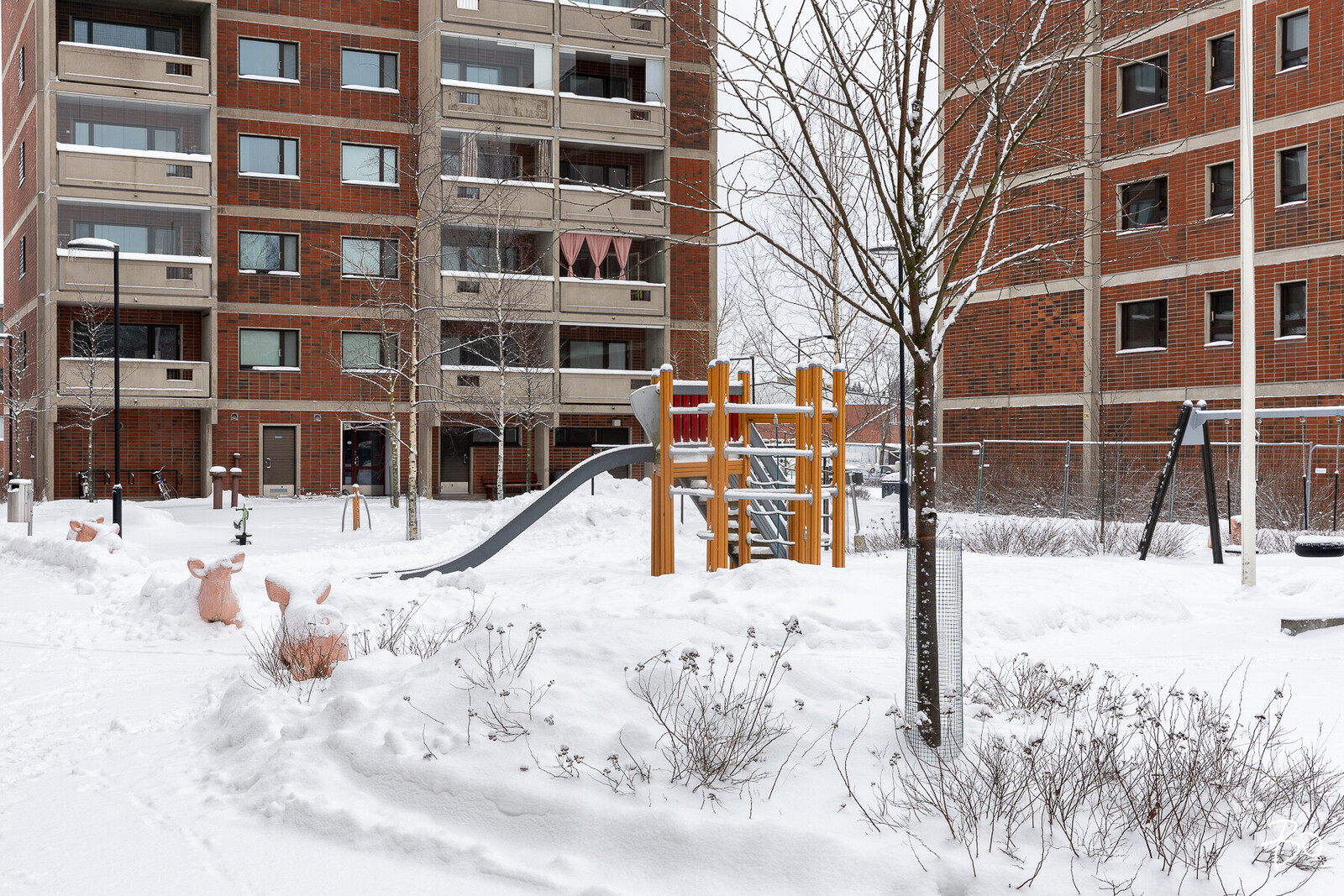 Pekanraitti 4 - kuva 19